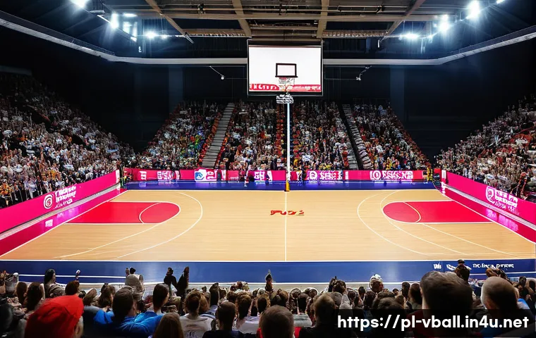 배구 경기장의 구조 - A professional indoor volleyball court in Poland, showing exact dimensions of 18 by 9 meters with cl...